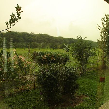 カントリーサイド B&B 瑞穂郷 部屋 写真